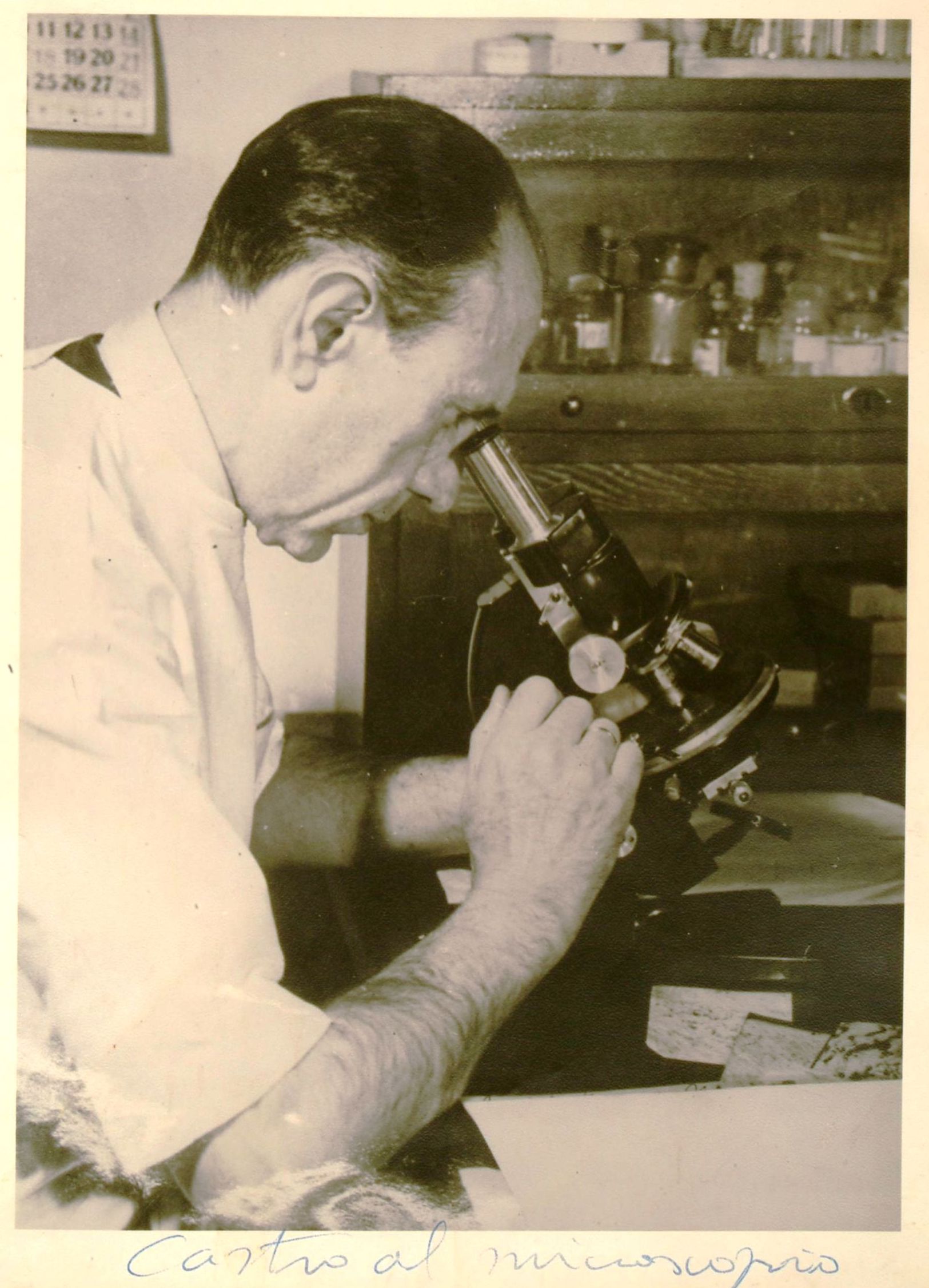 Fernando de Castro Rodríguez